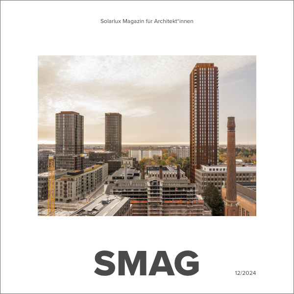 SMAG Newsletter Header 12.2024