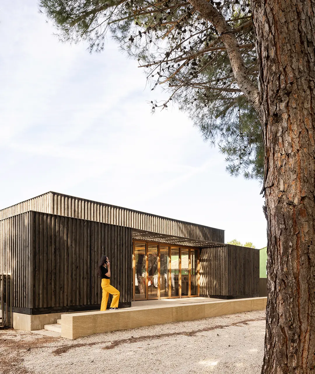 Le bois solide et naturel