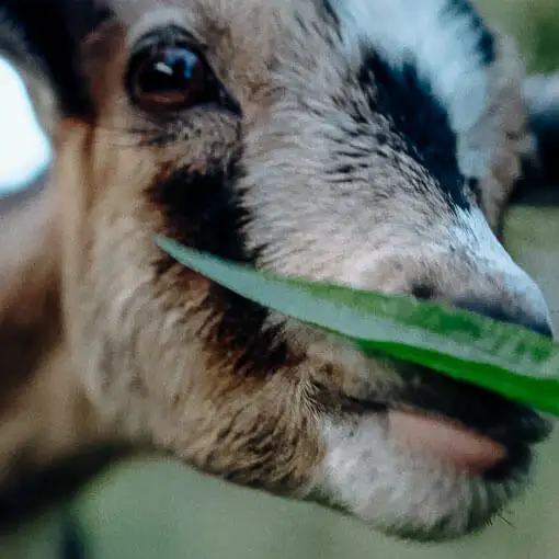 Video Solarlux Campus grünes Außengelände