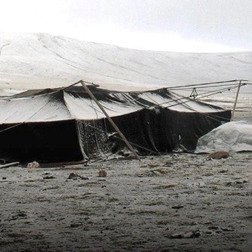 Zelt Görg Architekten